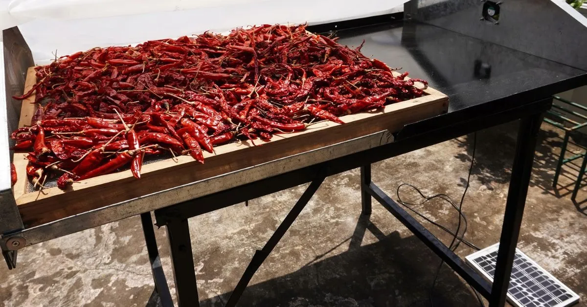 dr suri srimathi (2)