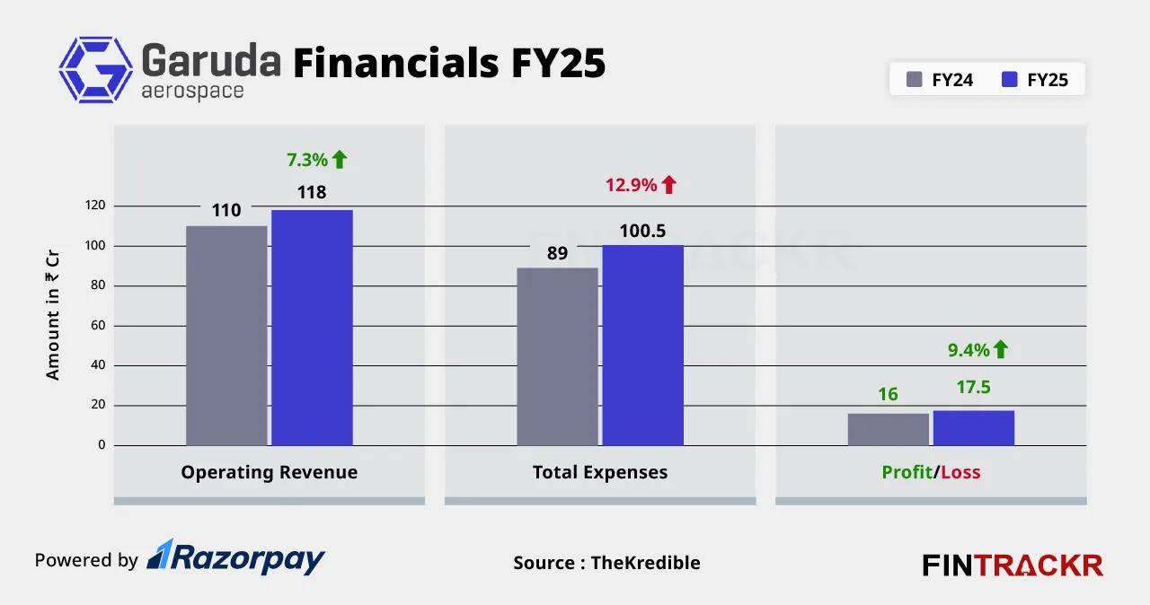 Garuda financials