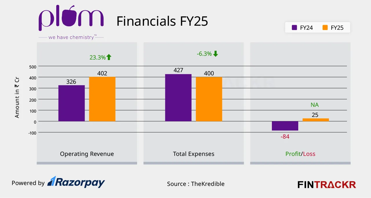 palm finicial fy25