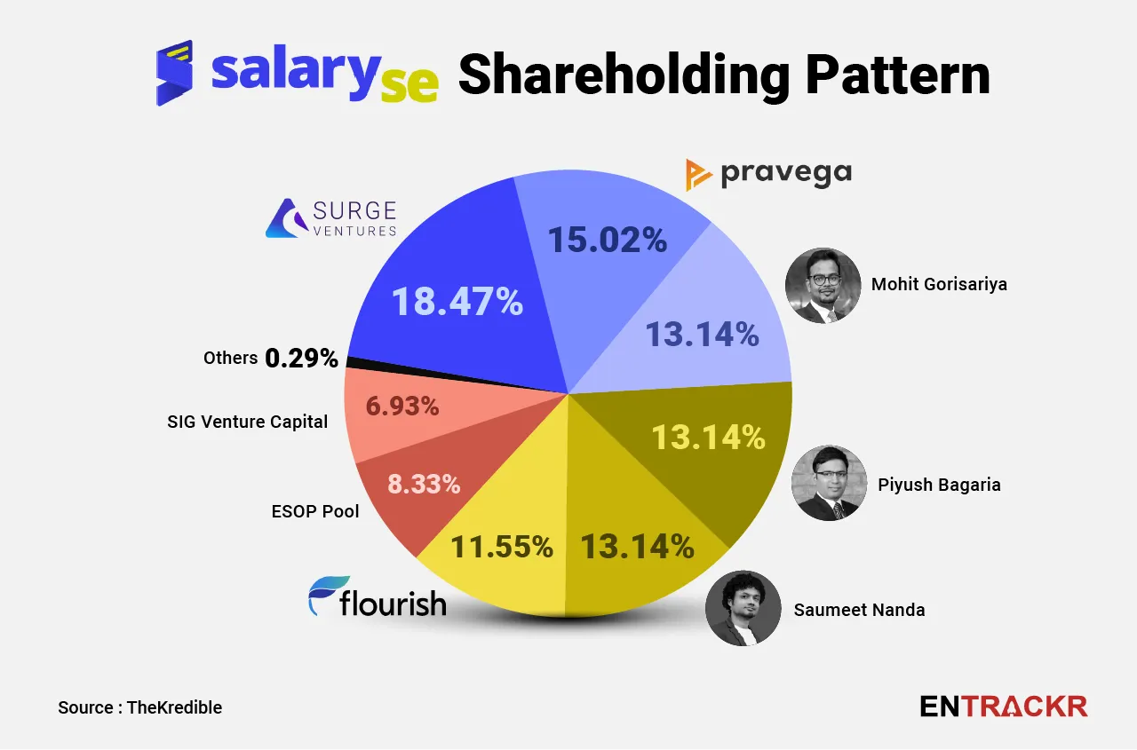 Salaryse shareholding