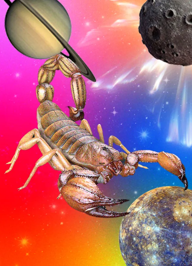 A picture of huge scorpion against a backdrop of planets depicting Monthly Horoscope