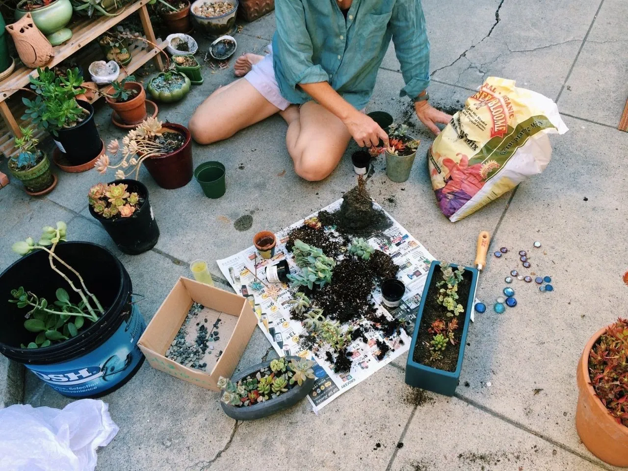 Urban Indian hobbyist gardening with succulents, pots, and tools laid out on a terrace floor.