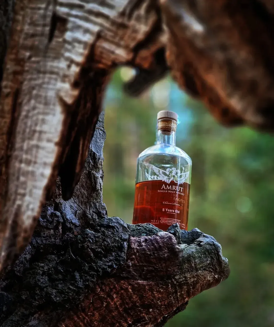 Amrut single malt whisky bottle – Indian luxury whisky with  tropical ageing