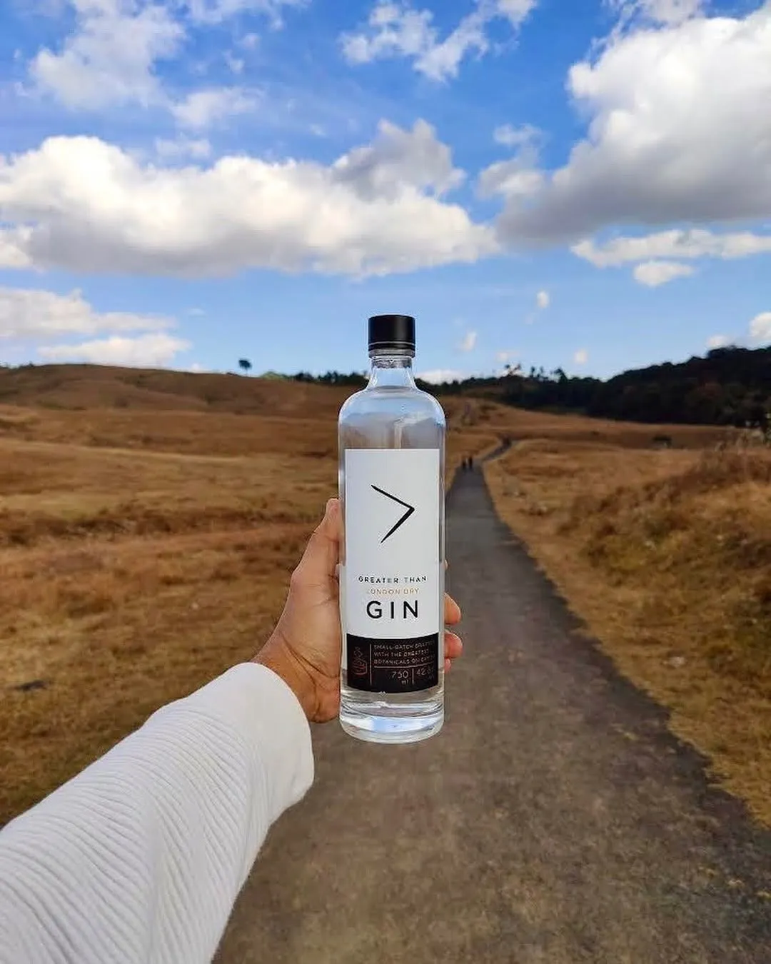 A person holding a bottle of Greater Than Gin to show how Indian craft gins and premium Indian gin are growing popular