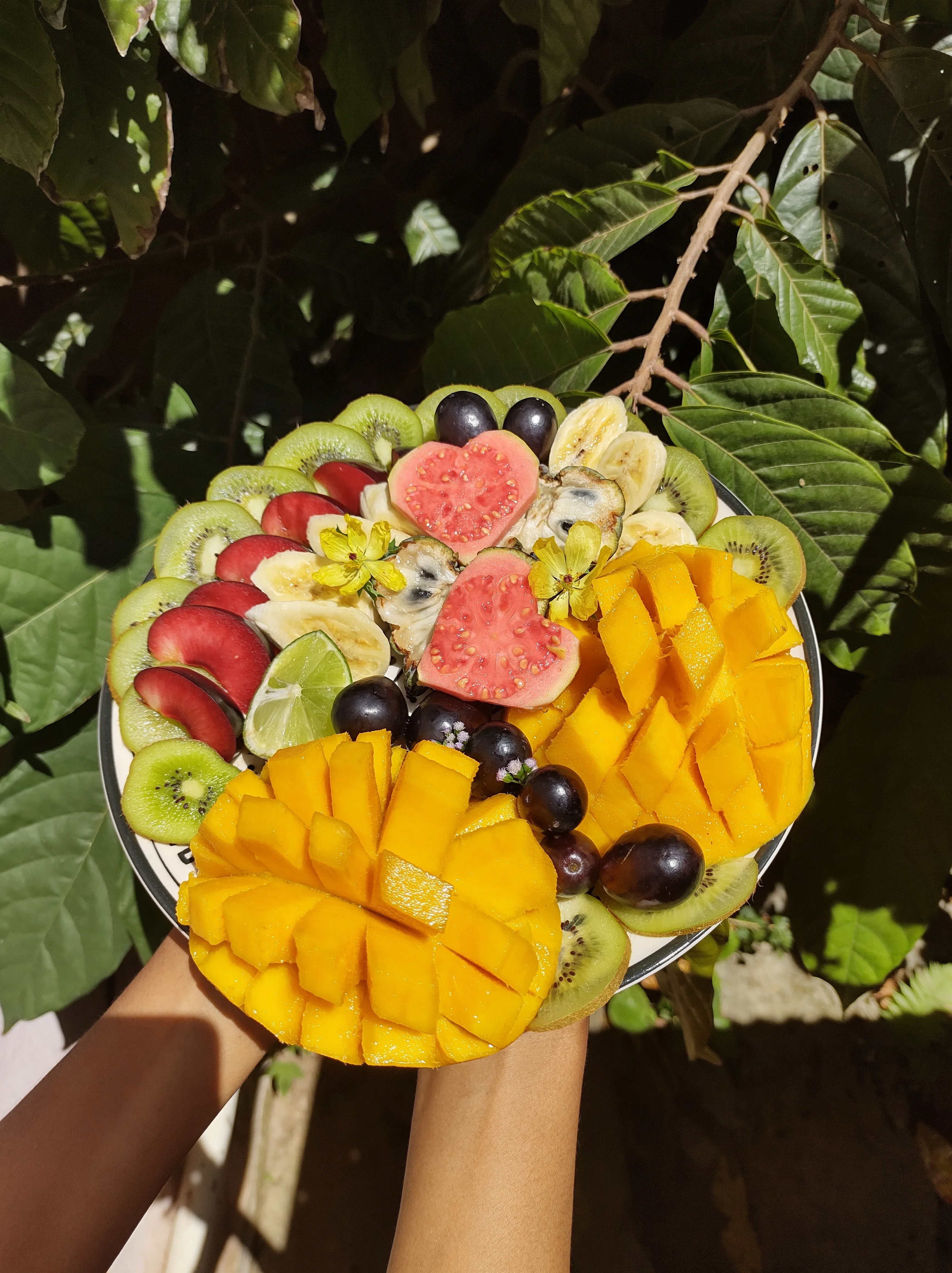 A plate full of colourful fruits, a must in a high-fibre diet