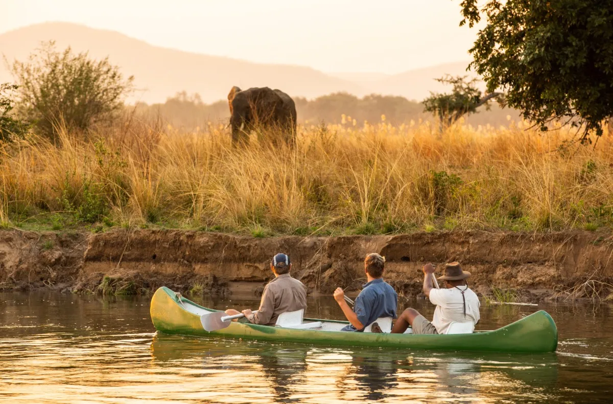Guests canoe past an elephant during a low-impact safari experience, illustrating responsible luxury tourism centred on wildlife conservation and minimal disturbance