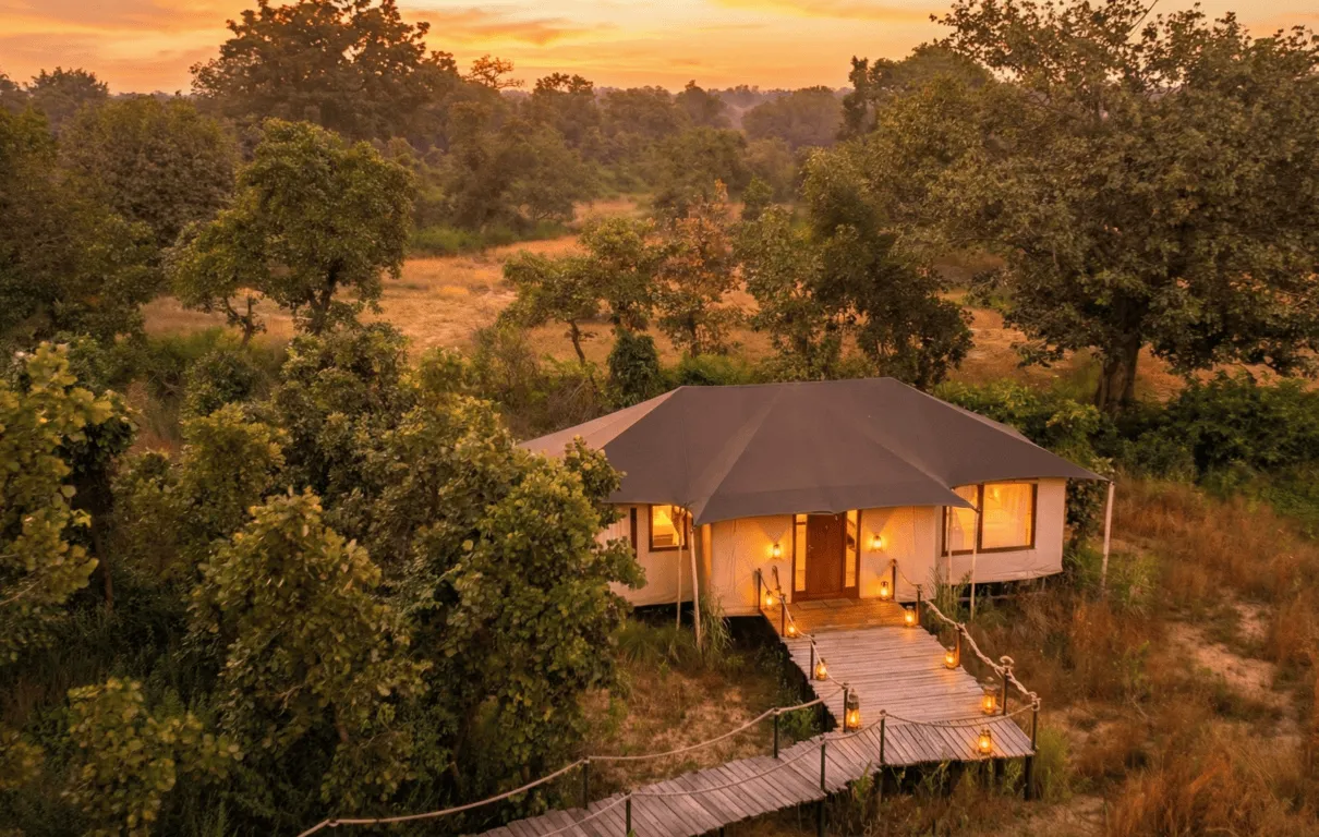 A luxury tented camp set within a protected forest landscape, representing responsible luxury tourism that prioritises conservation-led design and low-density development