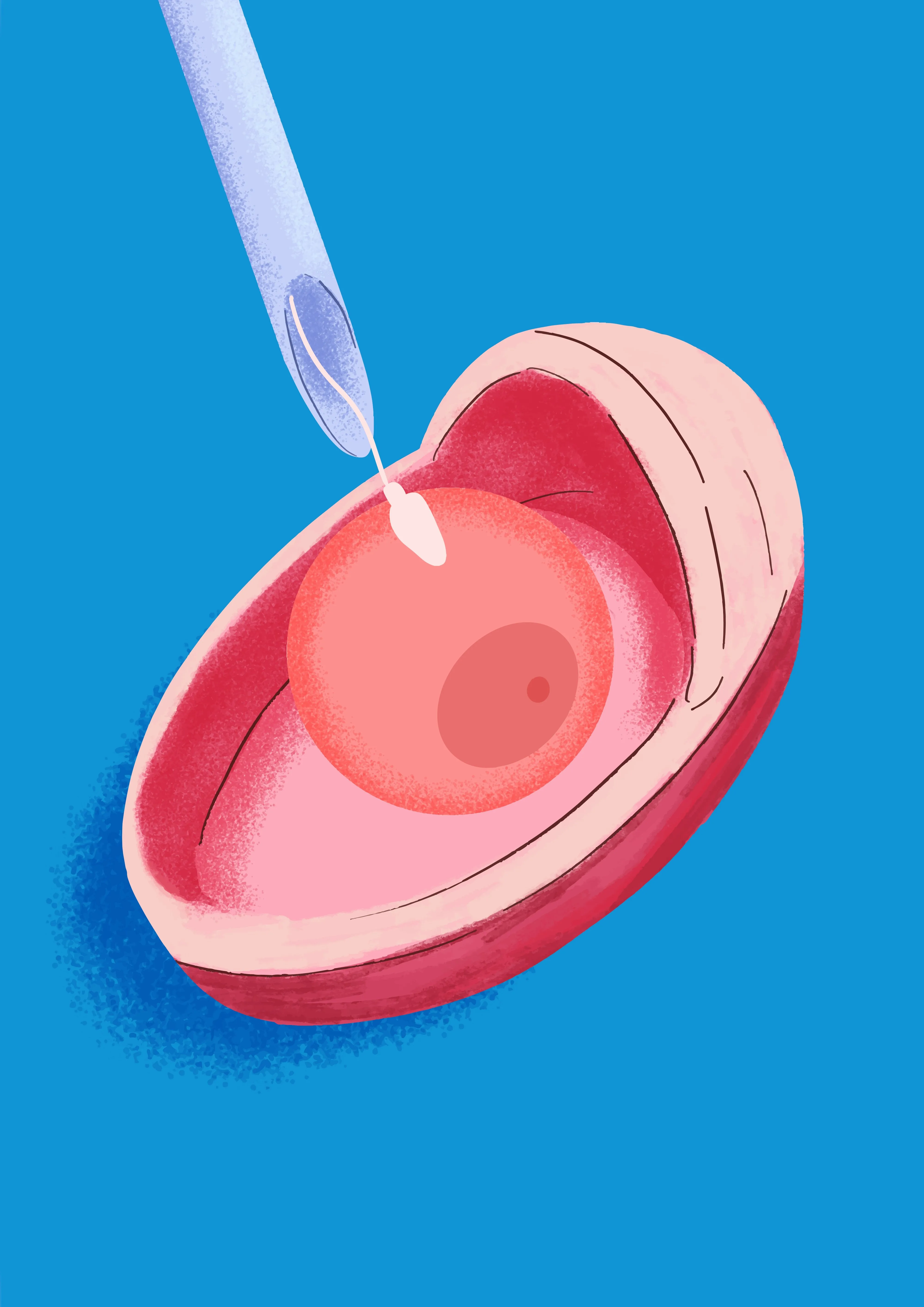A graphical representation of a sperum and egg against a blue backdrop