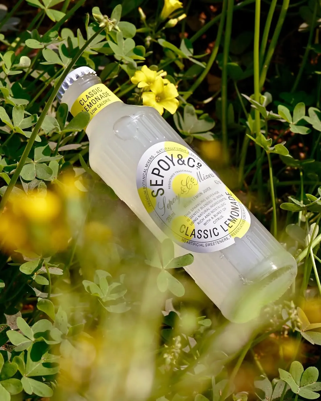 A picture of Sepoy & Co mixer in a natural setting to show how the sober curious India is drinking non alcoholic spirits in India