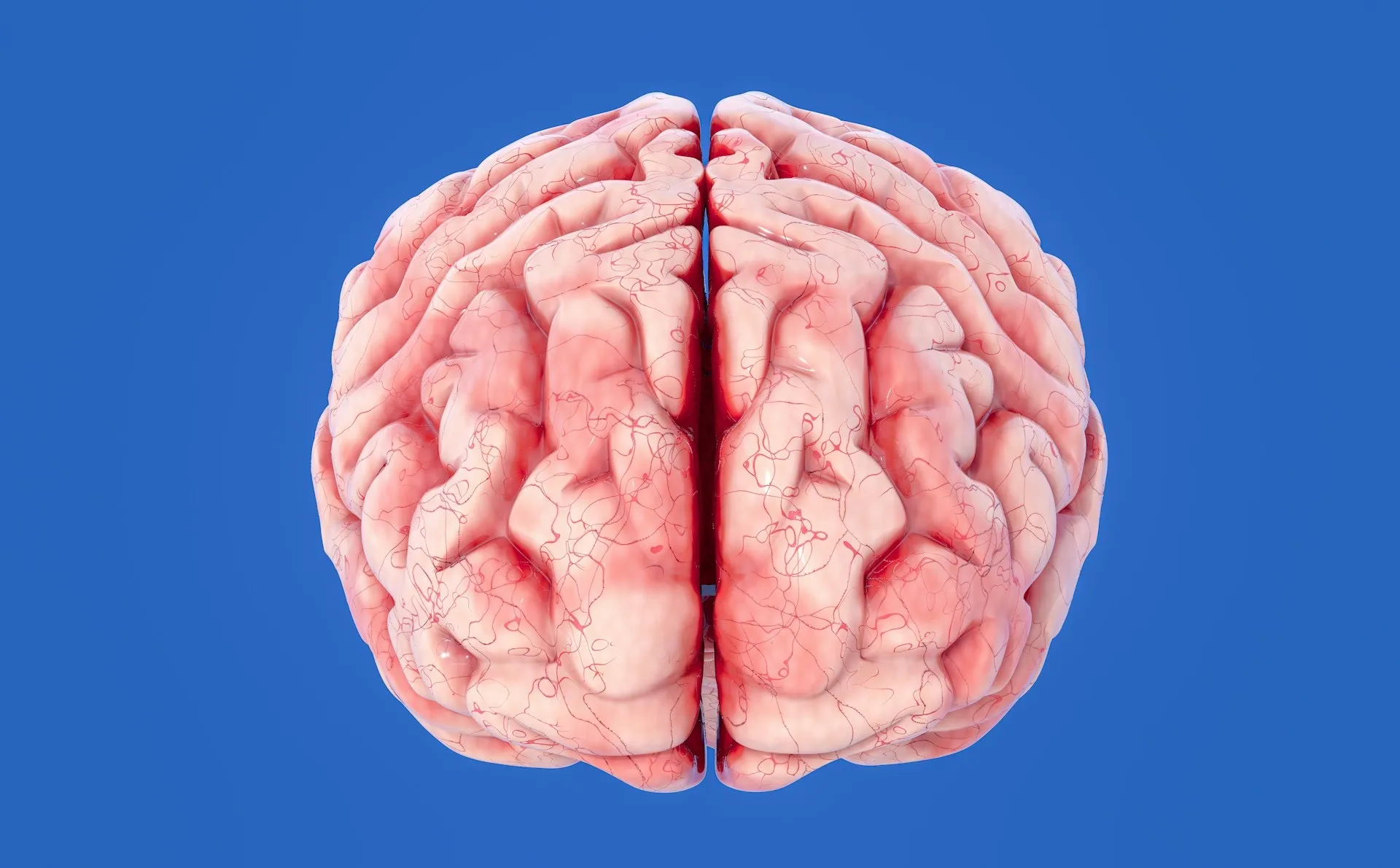 A picture of the brain's structure split into two against a blue backdrop