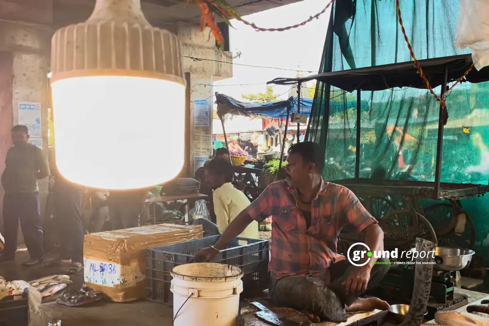 After the decision of CM Mohan Yadav, the fish market has been hidden behind a green curtain like this
