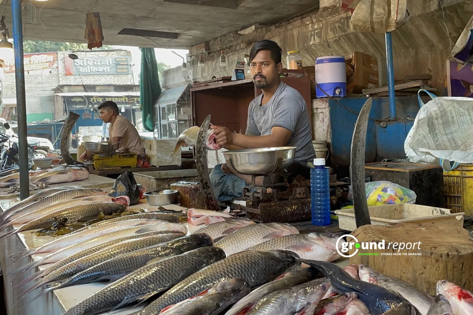 Vendors selling fish at the fish market in Budhni