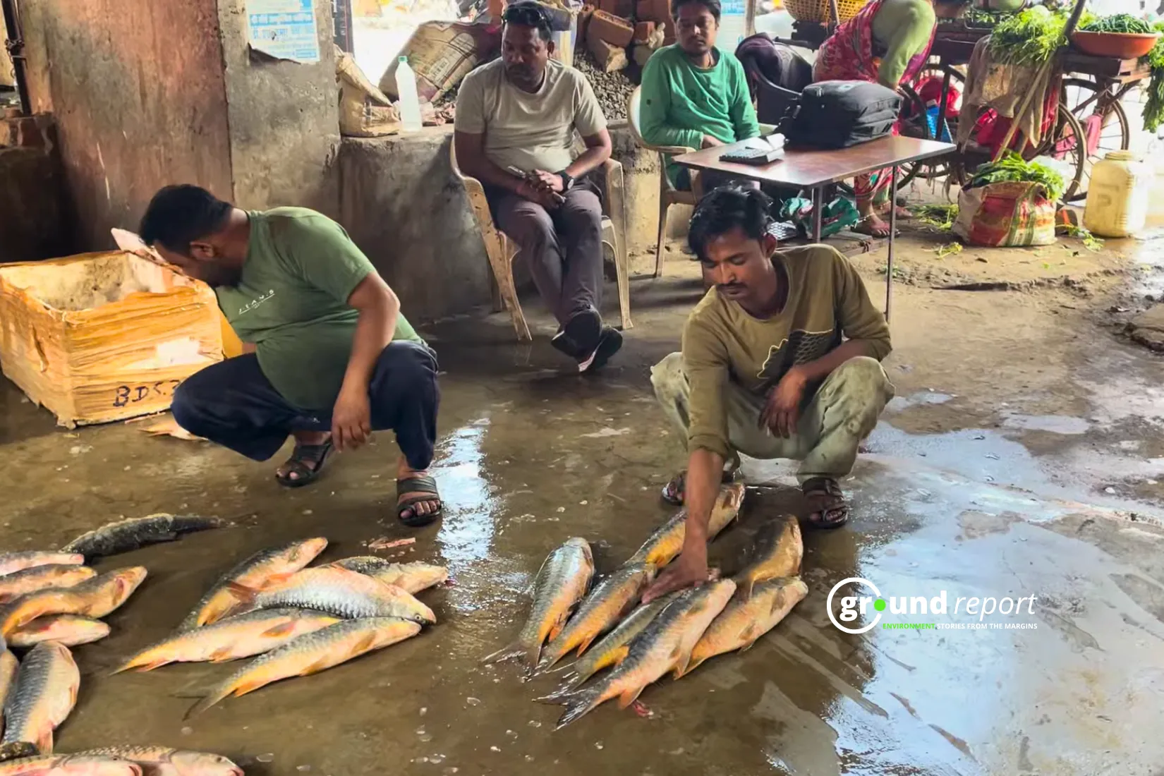 In the fish market, the fish are kept on the ground, floor always stays wet, there is no facility of water drainage