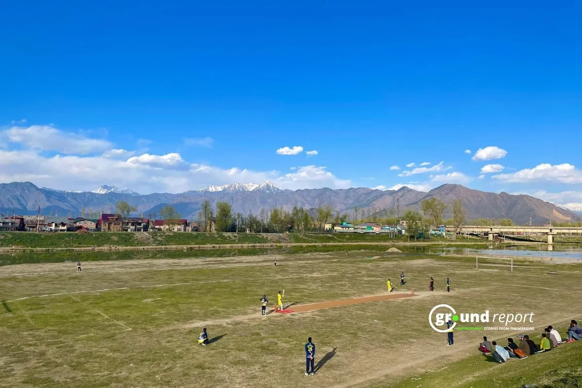 cricket and climate change