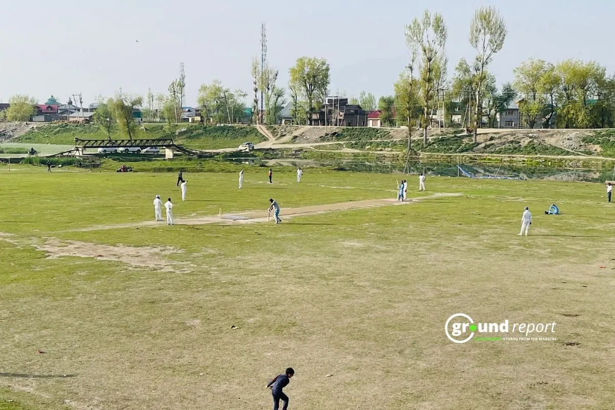 cricket climate change