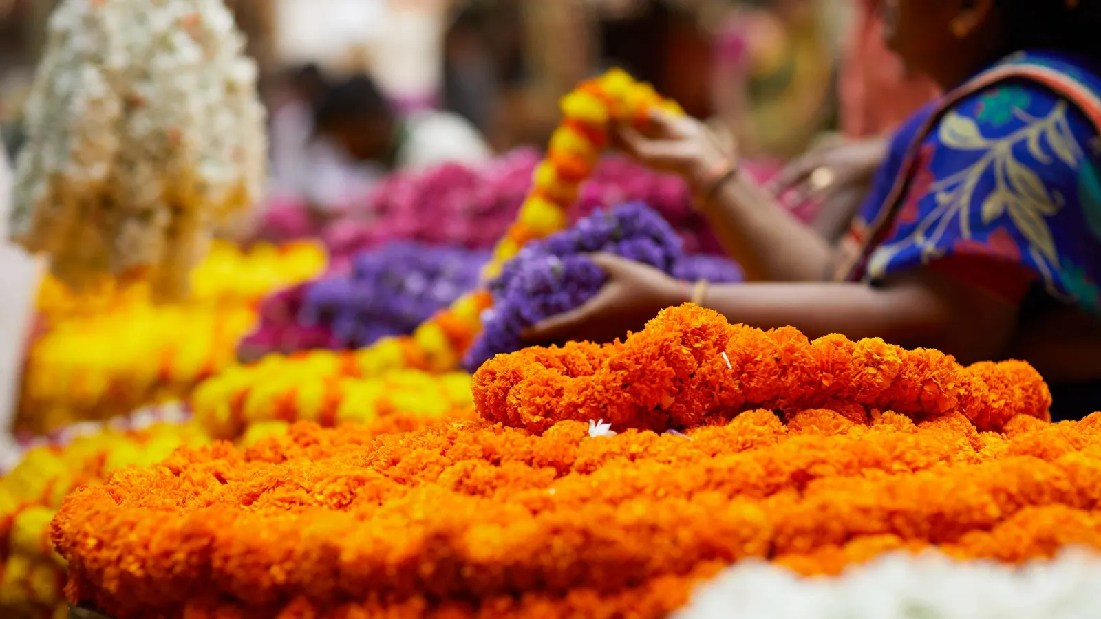 Ganesh Chaturthi Celebration in Mumbai (2)