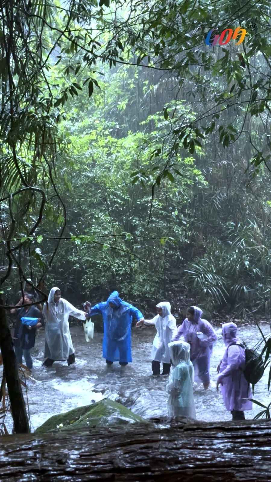 GTDC Monsoon Trekking Expedition (1)