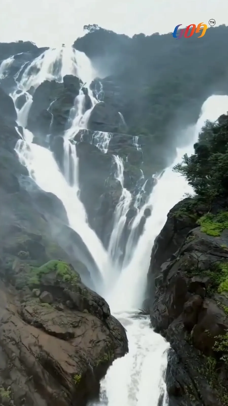 GTDC Monsoon Trekking Expedition