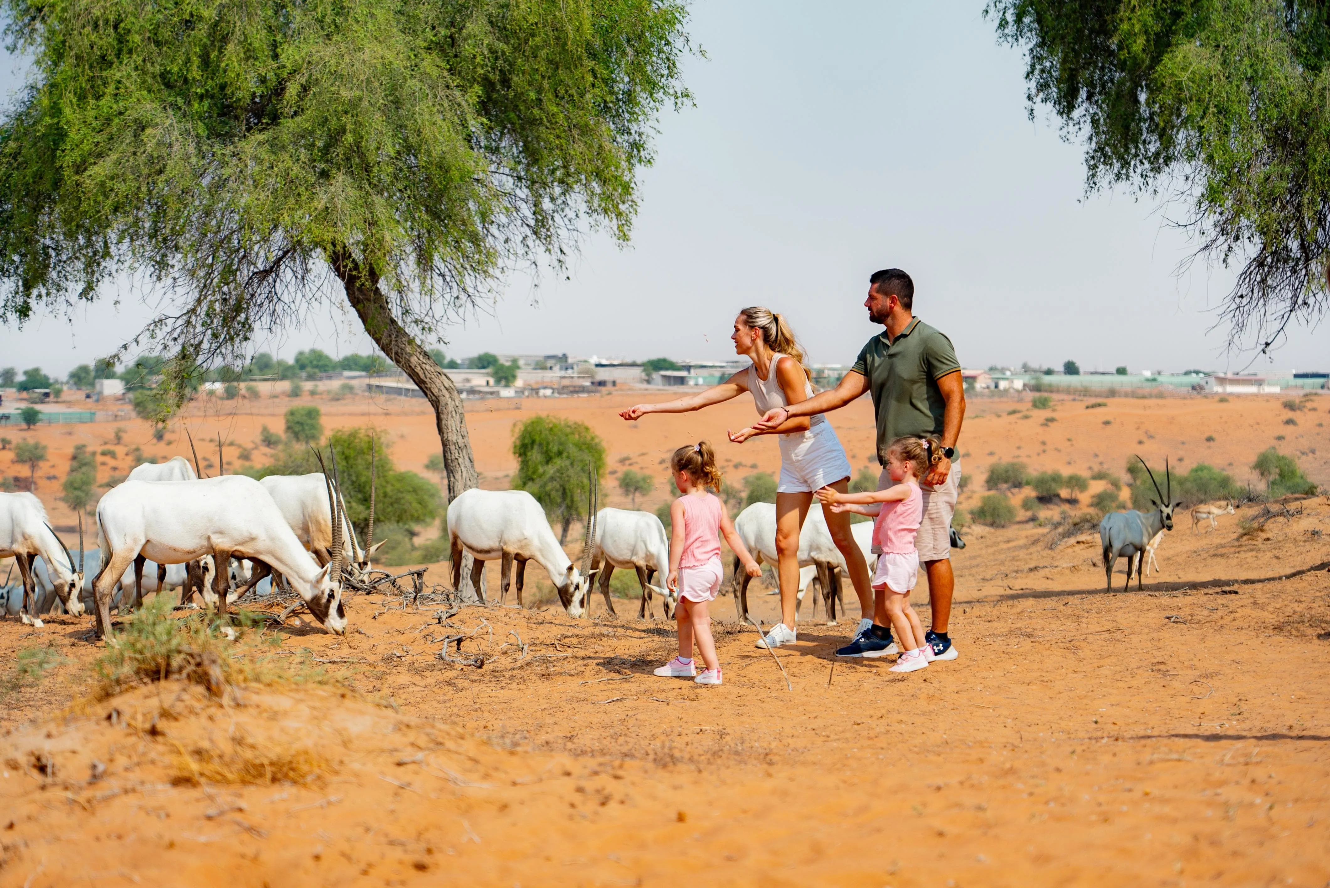 Ritz Carlton Ras Al Khaimah Al Wadi