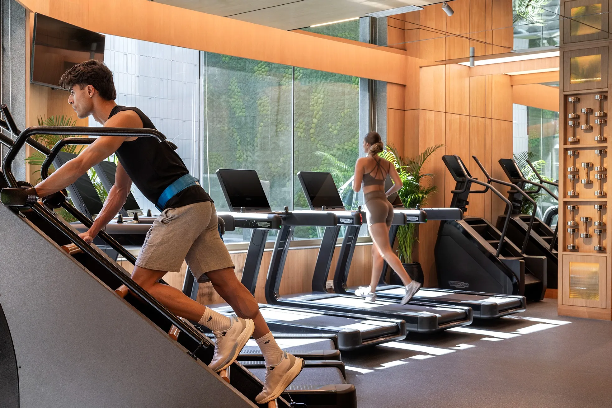 The Gym