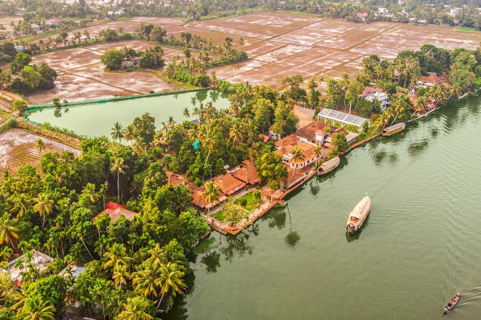 Palm Dale_ELIVAAS