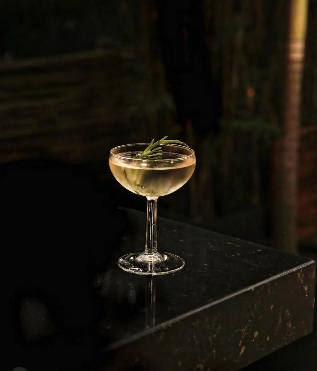 Loya Qissa x Peter Sanchez, Taj Palace, New Delhi (5)