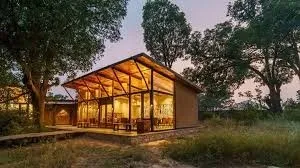 Trees and Tigers Tadoba