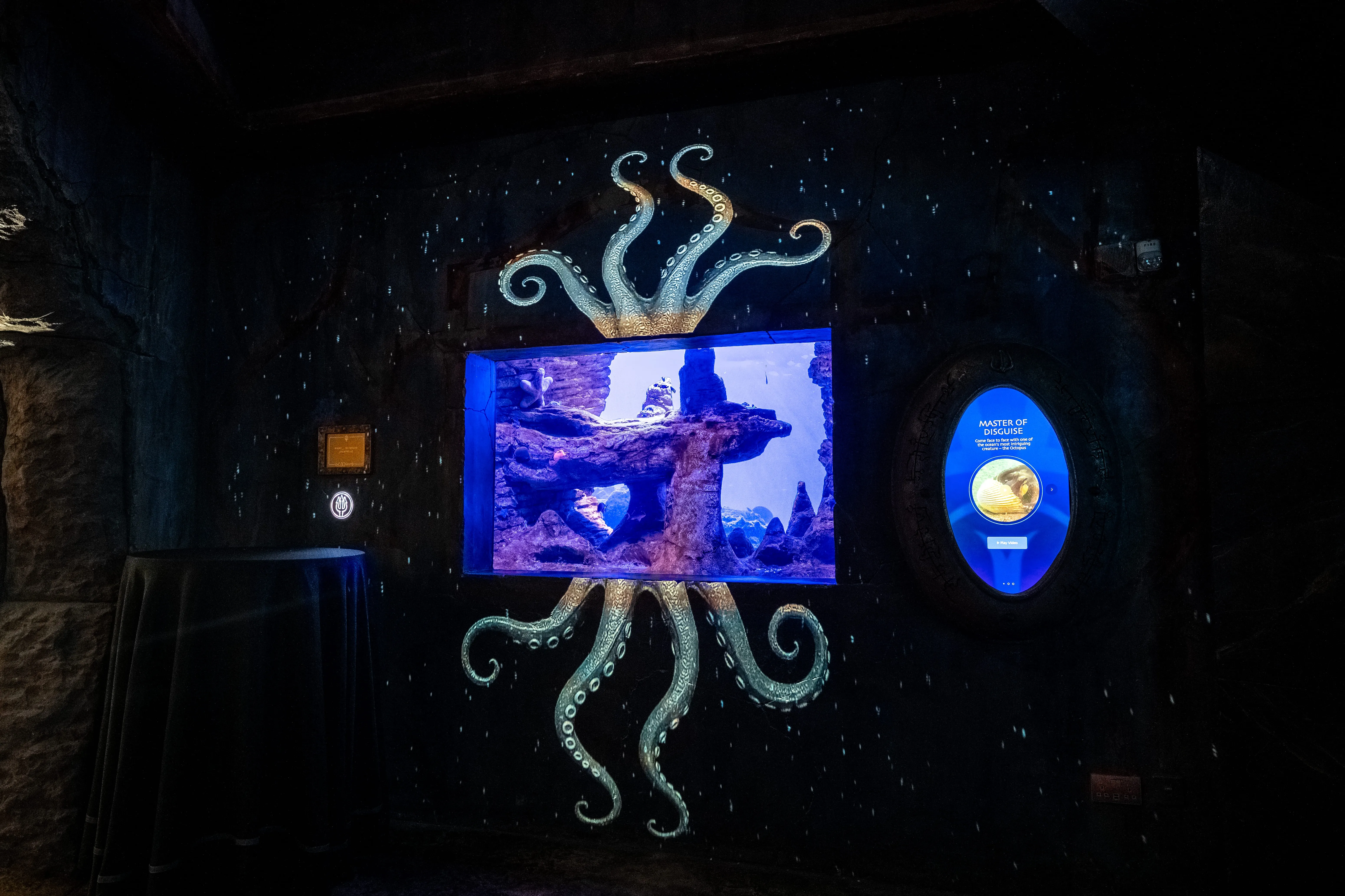 The Lost World_Octopus exhibit