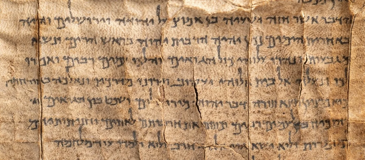 Eli Pozner, The Israel Museum, Jerusalem