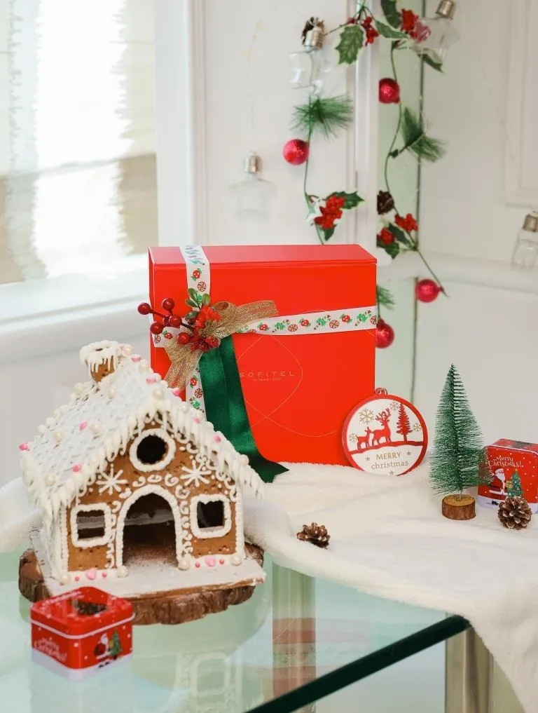 Gingerbread DIY Kit