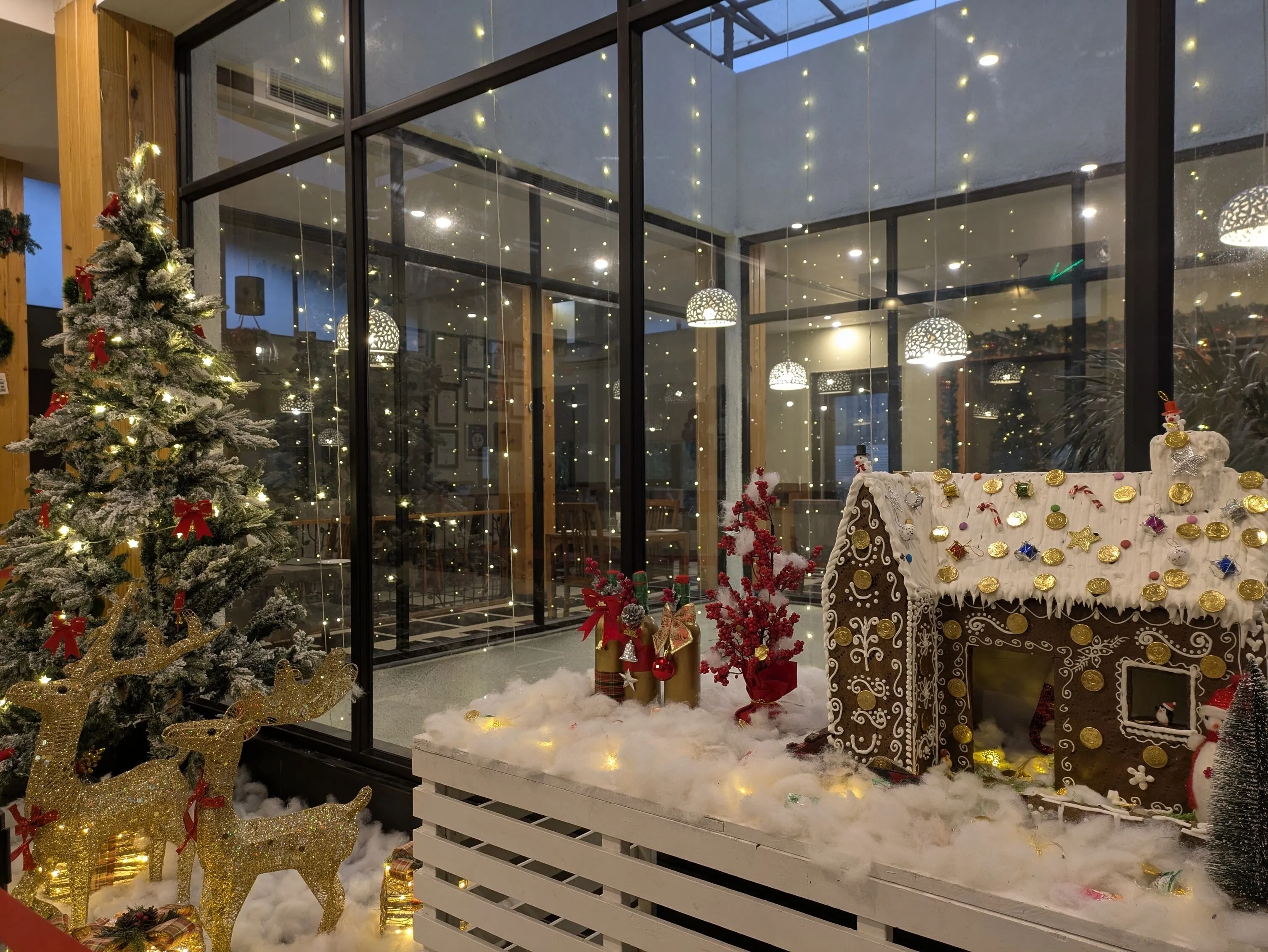 PXL20241222124335995RAW-01MPCOVER_optimized_2000