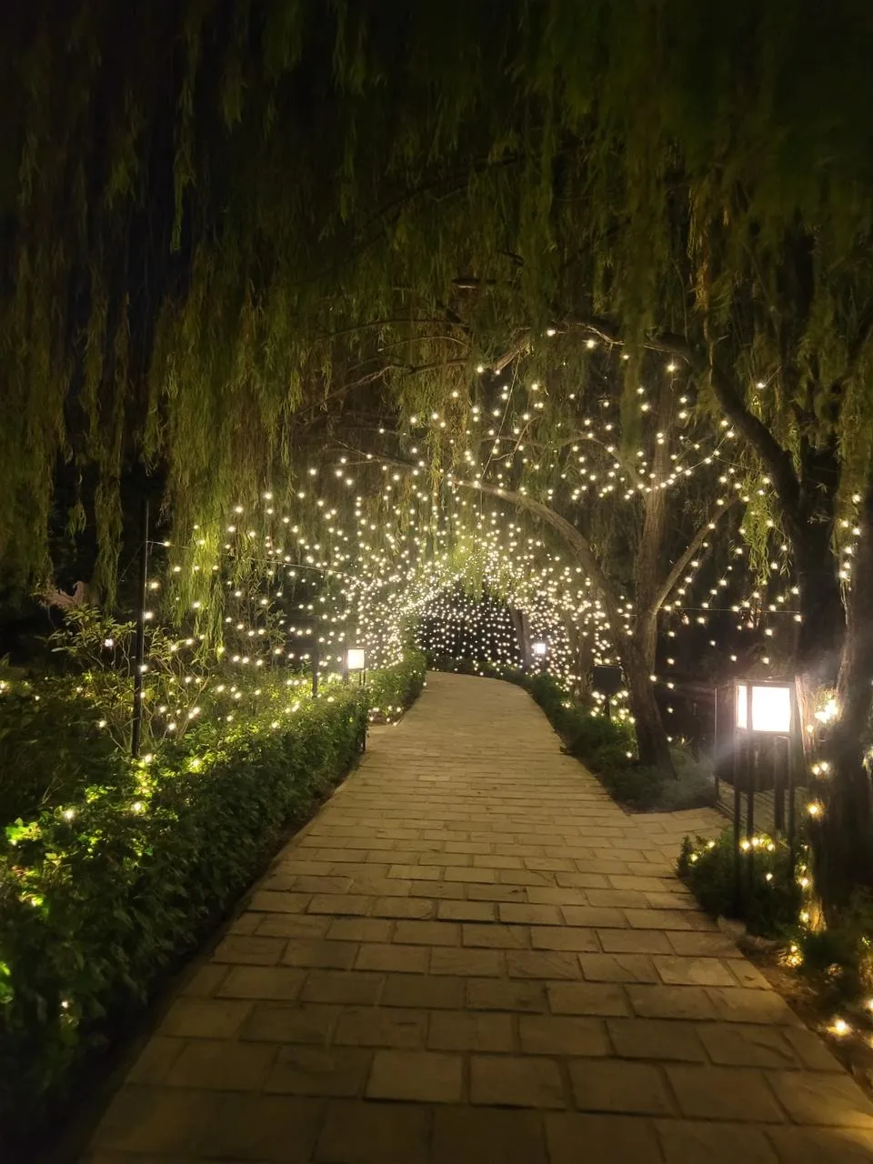 WhatsApp Image 2025-12-04 at 2.06.24 PM