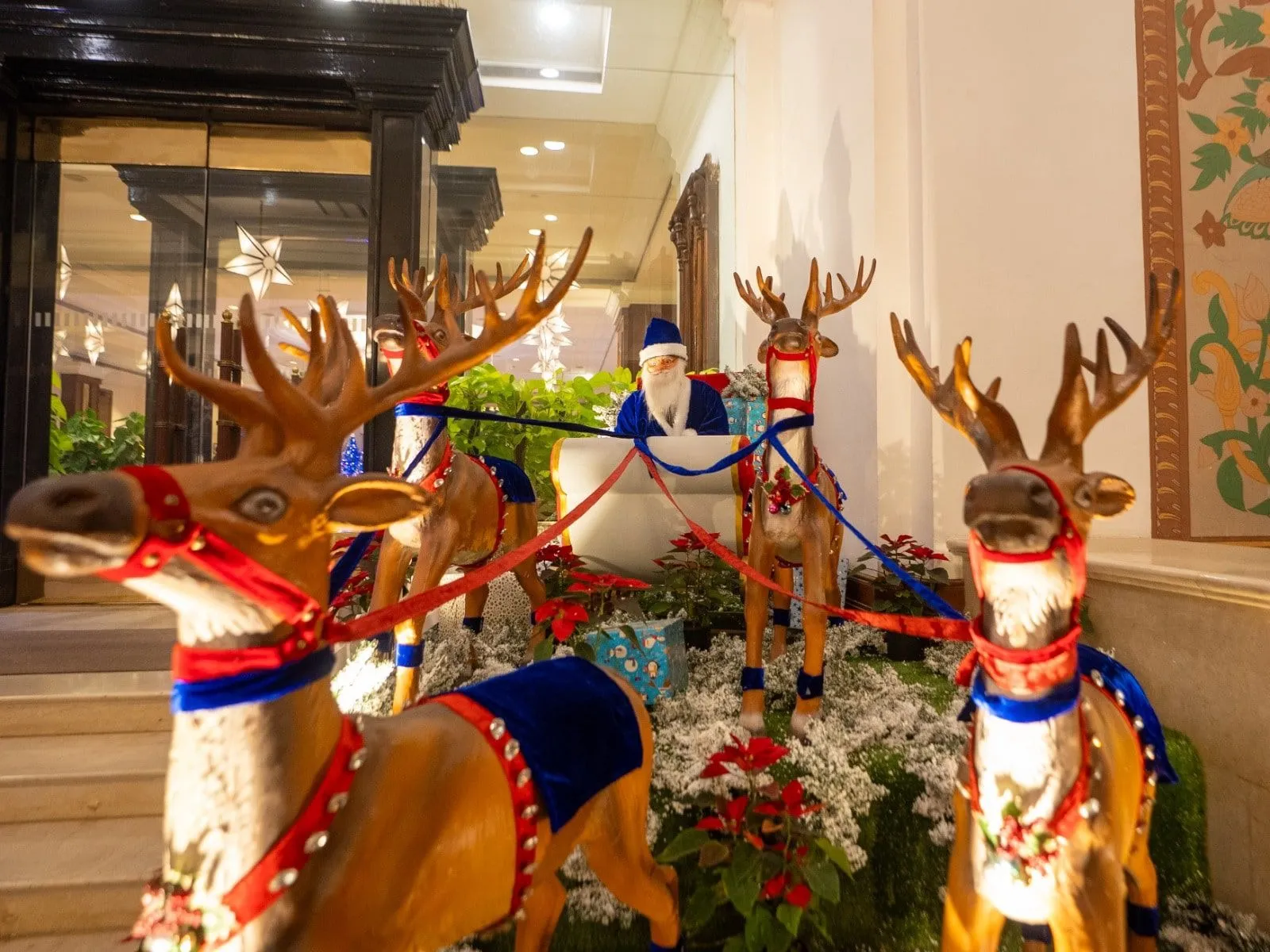 Chirstmas Tree Lighting_Eros Hotel Img 4