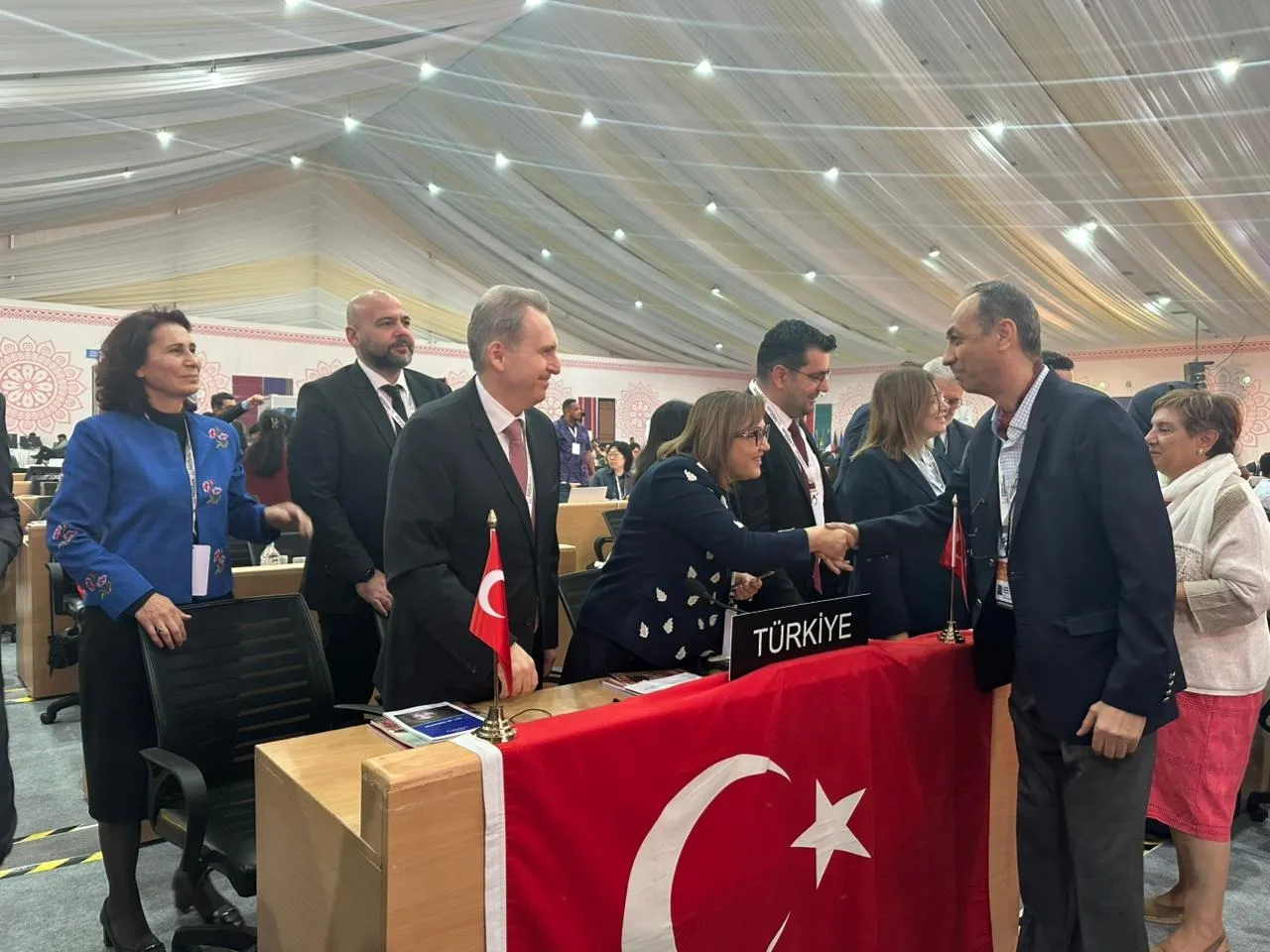 Turkiye at 20th Intergovernmental Committee Meeting - 1
