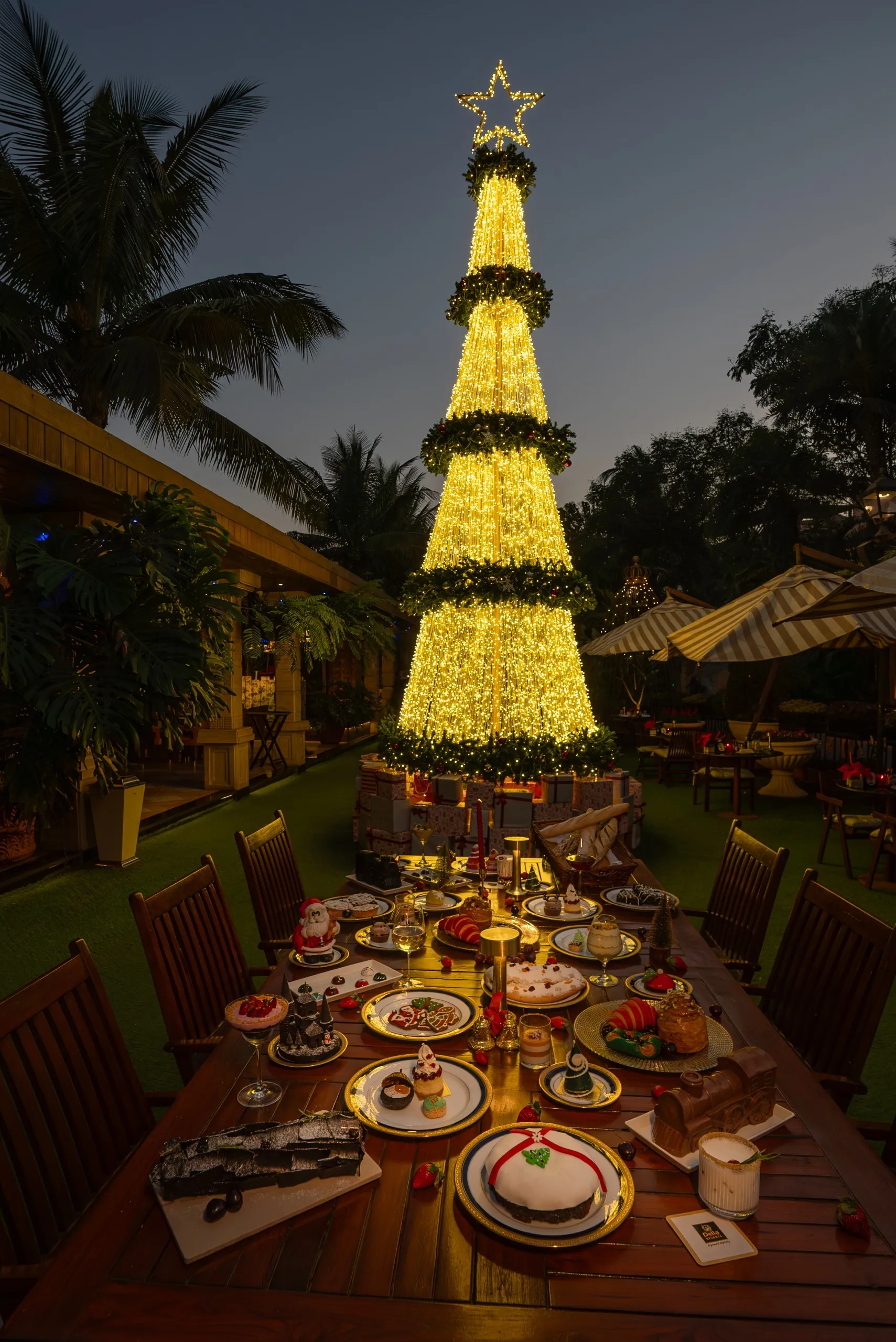 WhatsApp Image 2025-12-13 at 11.33.04 AM