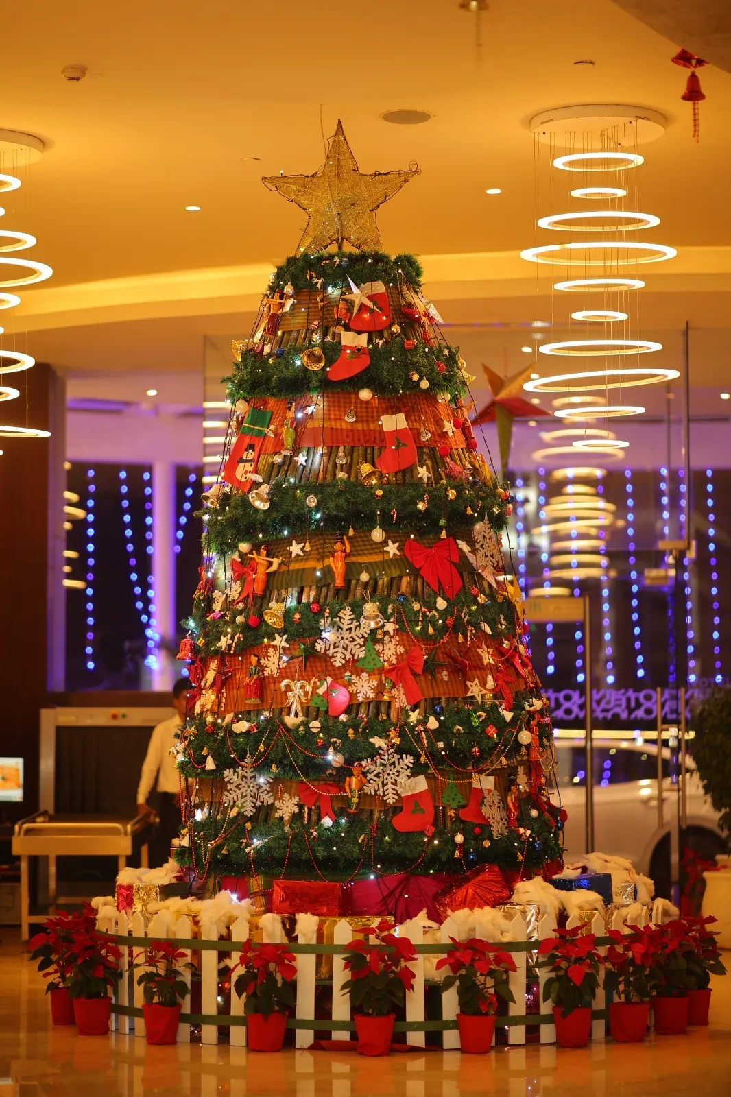 A Sustainable Christmas at Novotel Visakhapatnam Varun Beach (1)