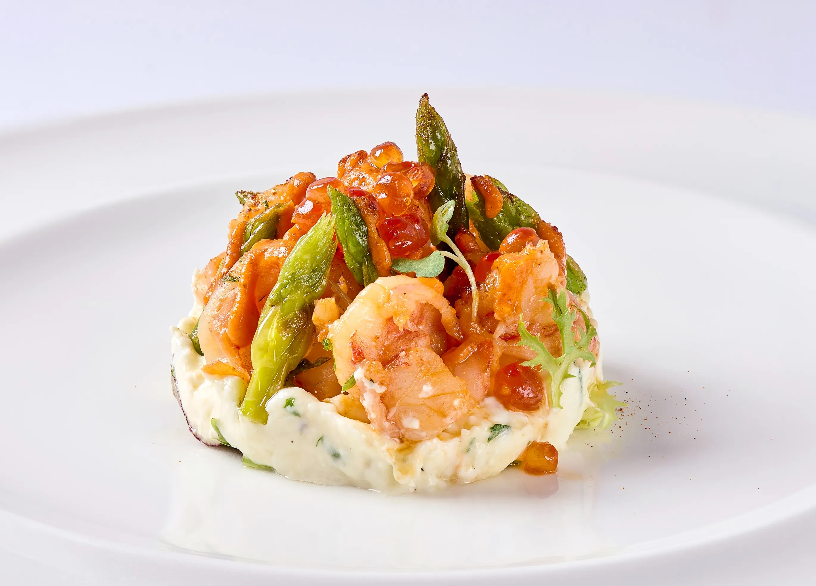 Red prawn, asparagus and burrata with burnt onion and pink tomato sauce