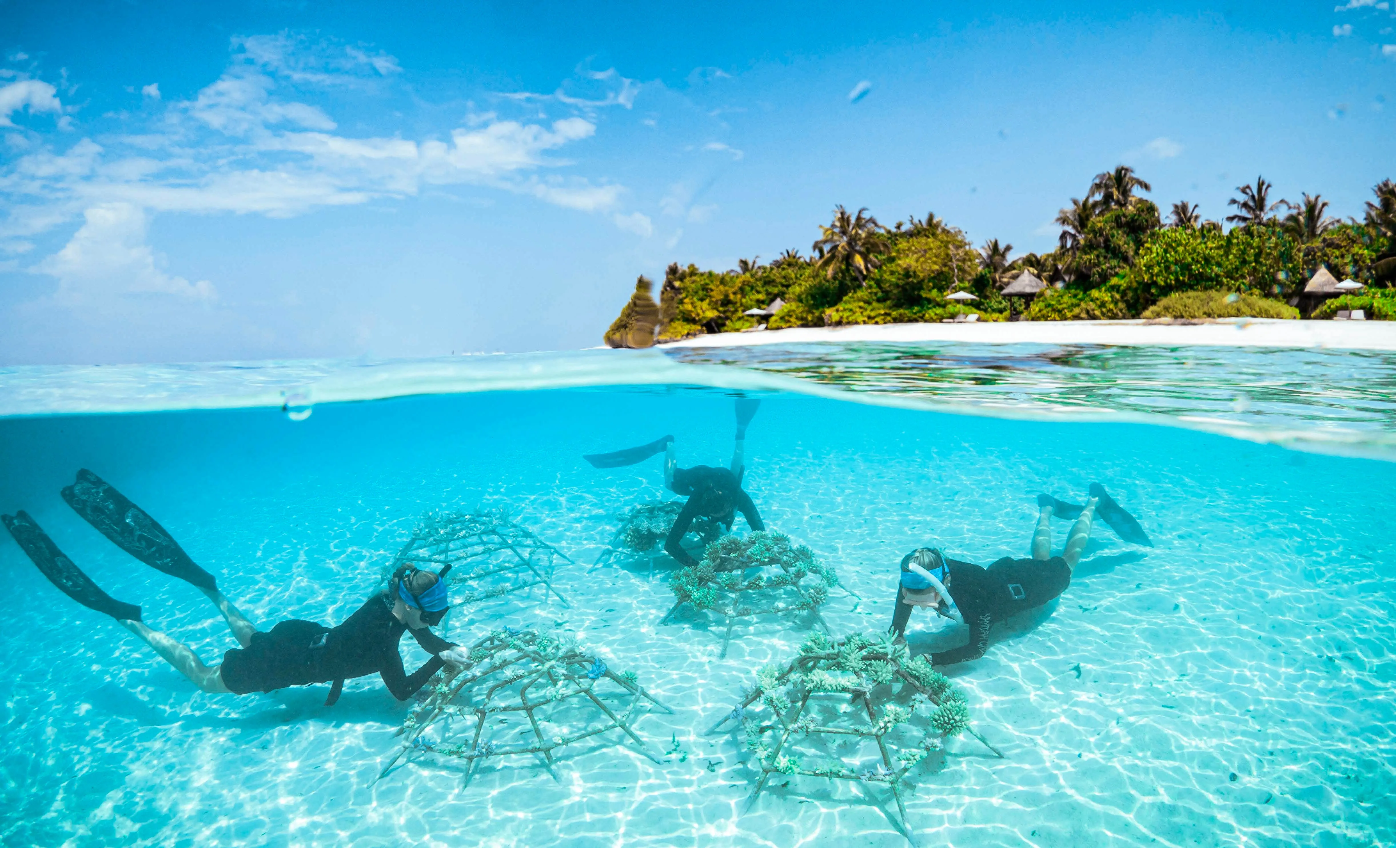 Coral Propagation Programme at Four Seasons Maldives at Landaa Giraavaru