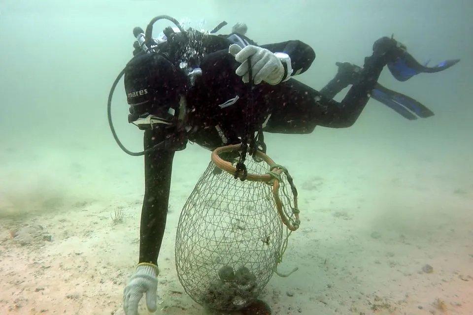 Pearl Diving in Bahrain