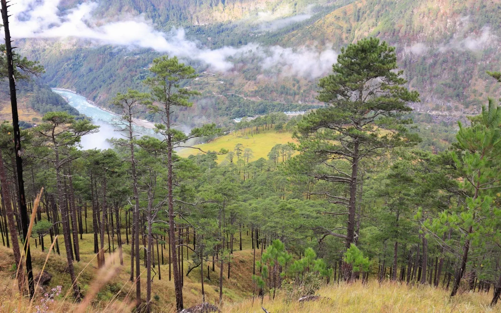 PHOTO-2026-02-16-10-20-40