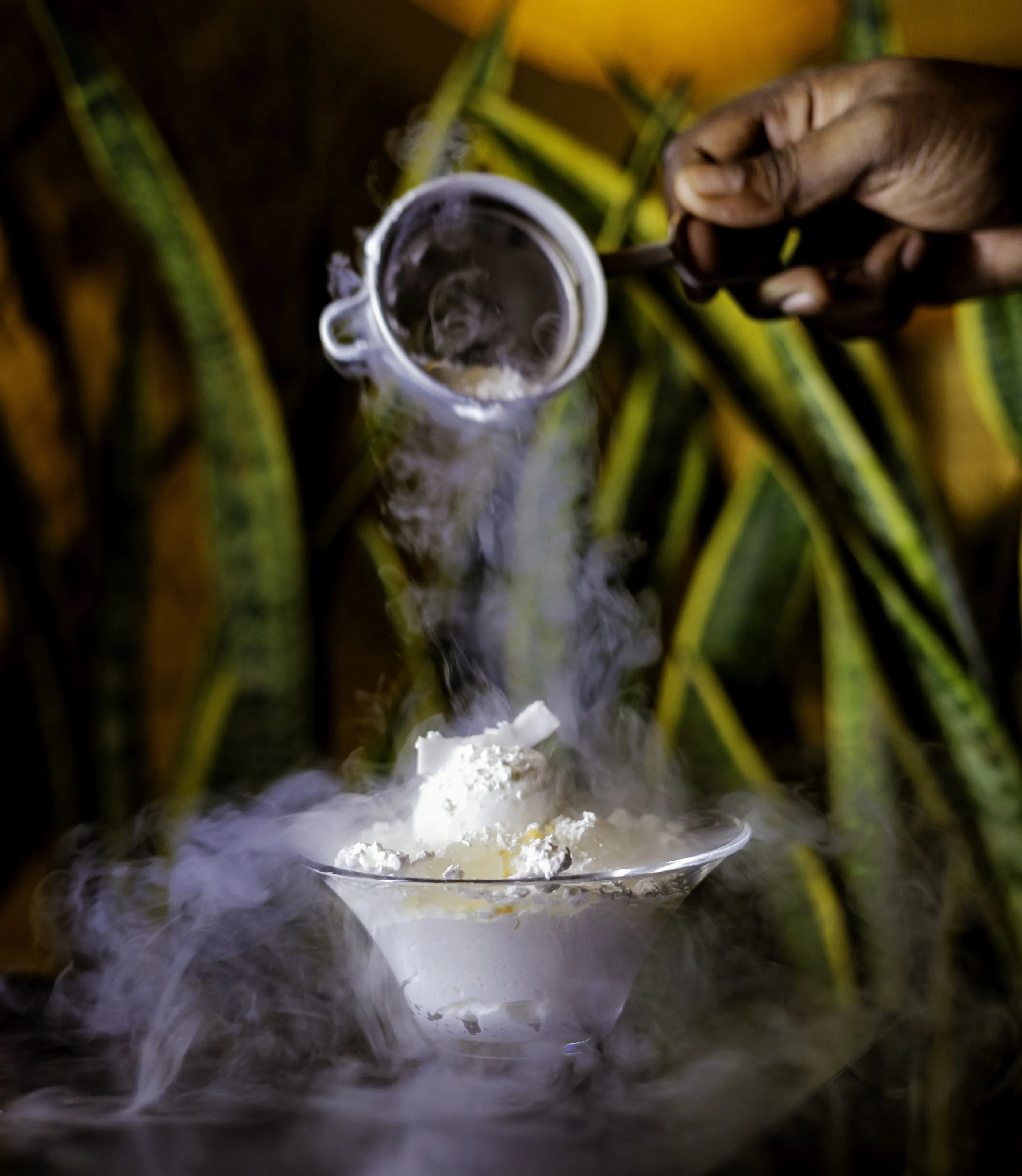 BengaluruMarriottHotelWhitefieldCoconutNJamine