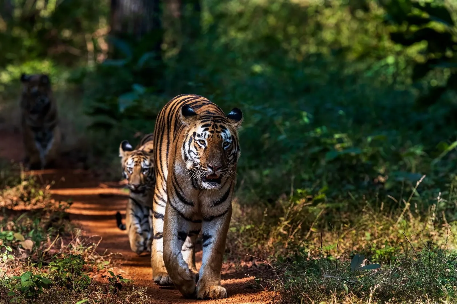 Maharashtra Tourism_2 (1)