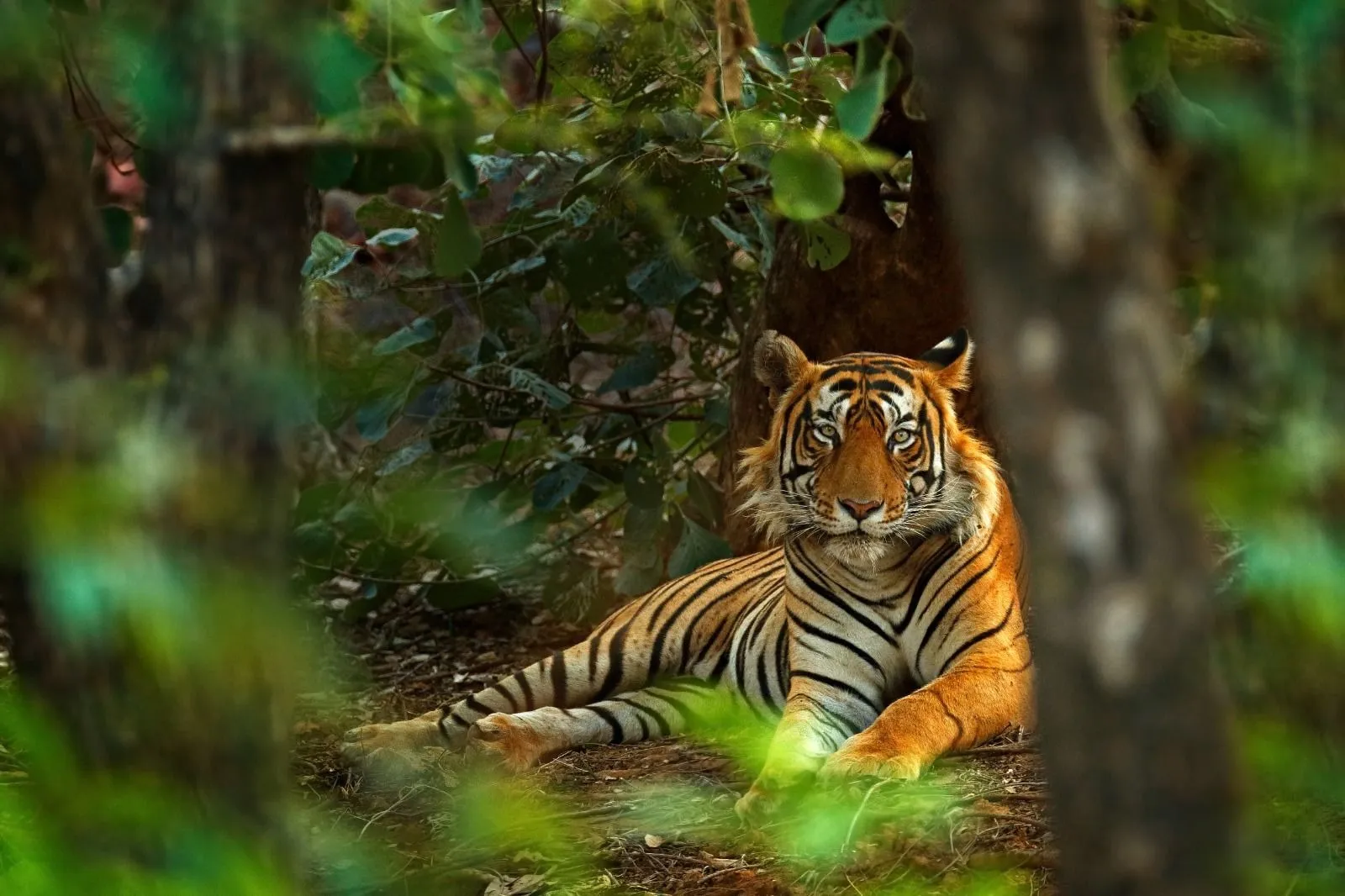 Maharashtra Tourism_2