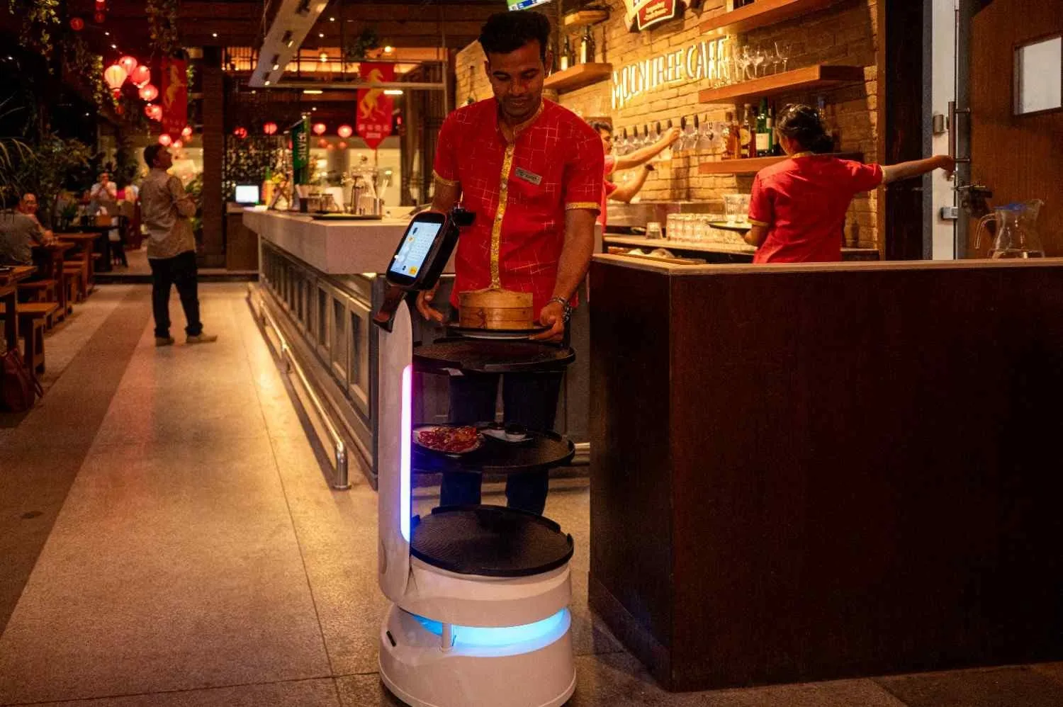 Sayaji - moontree robopic2