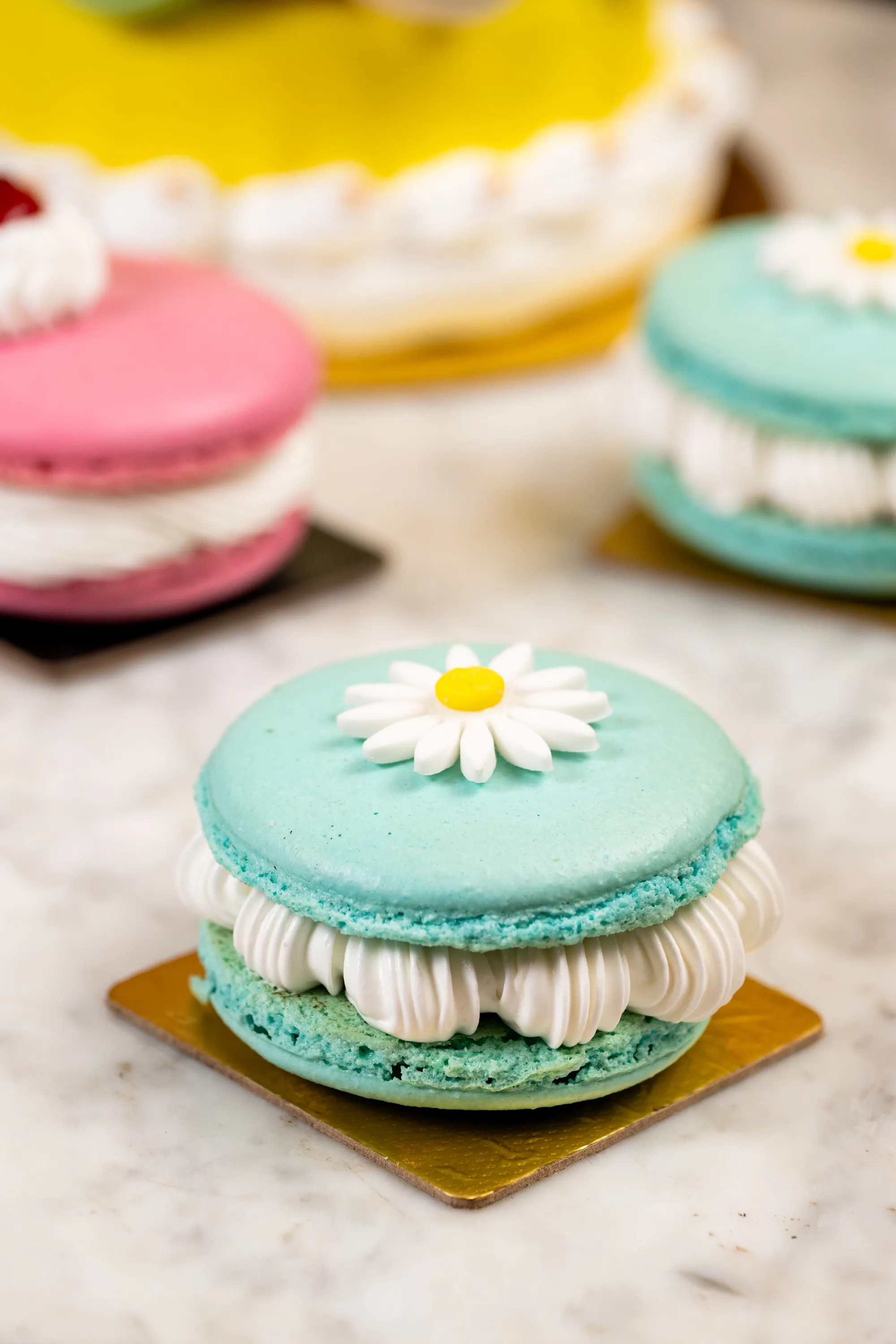 Macaron Magic_Courtyard by Marriott Bengaluru Hebbal.jpg1