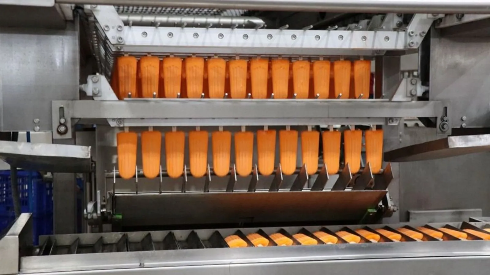 ઊંટના દૂધમાં ભરપૂર માત્રામાં ફૂડ મિનરલ્સ