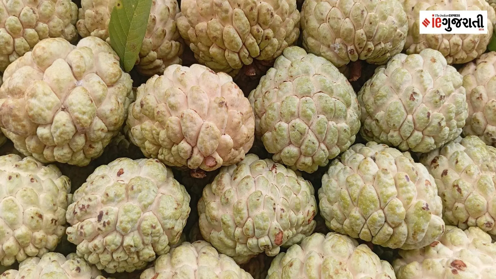 best time to eat custard apple