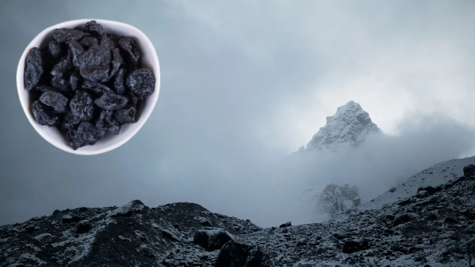 what is shilajit used for