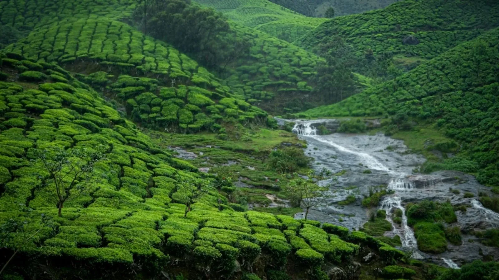 Munnar best hill station