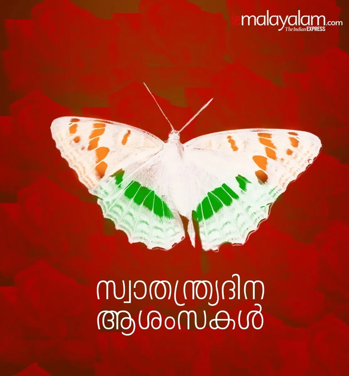 Happy Independence Day Wishes 2025 55